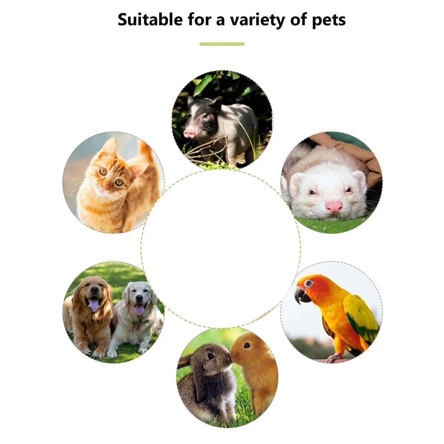 Dog Whistle with Clicker – 2-in-1 Trainer Pet Essentials-6