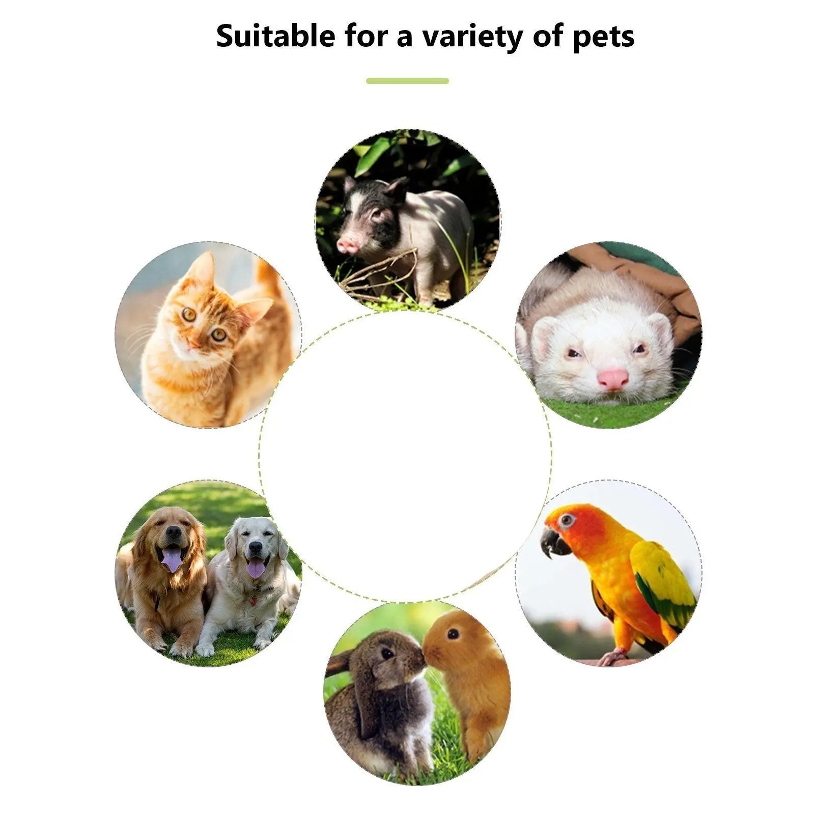 Dog Whistle with Clicker – 2-in-1 Trainer Pet Essentials-6